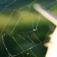 Understanding the Connections