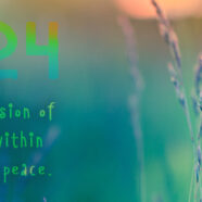 2024 – Felt-sense Aliveness Without Conflict